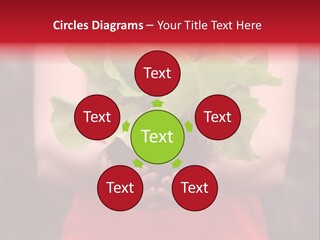 Food Holding Harvest PowerPoint Template