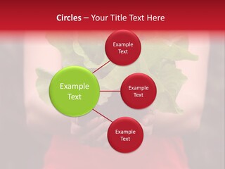 Food Holding Harvest PowerPoint Template