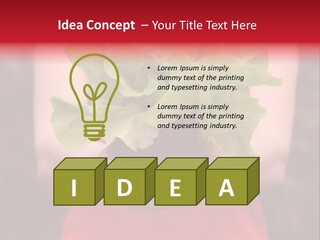 Food Holding Harvest PowerPoint Template