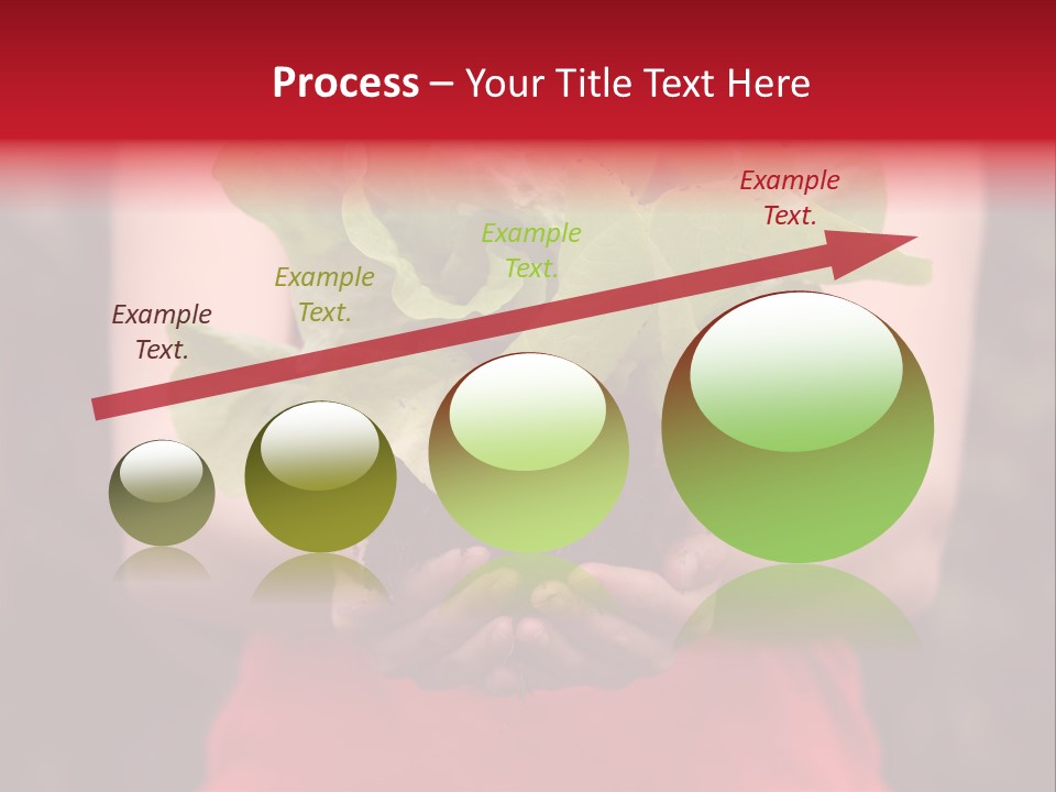 Food Holding Harvest PowerPoint Template