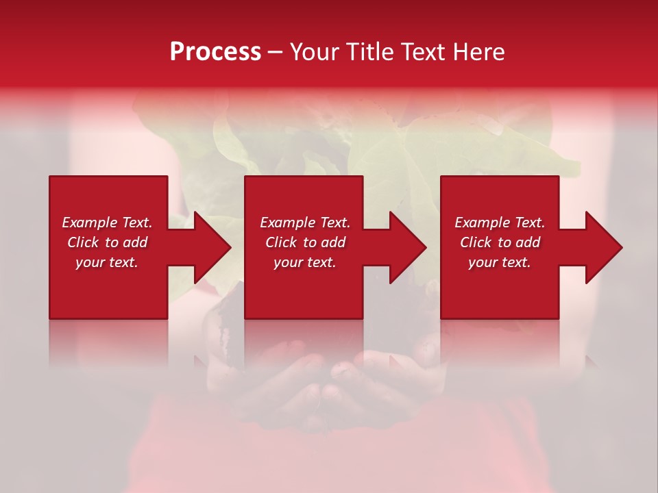 Food Holding Harvest PowerPoint Template