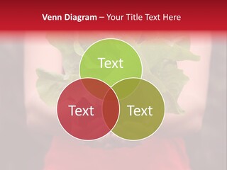 Food Holding Harvest PowerPoint Template