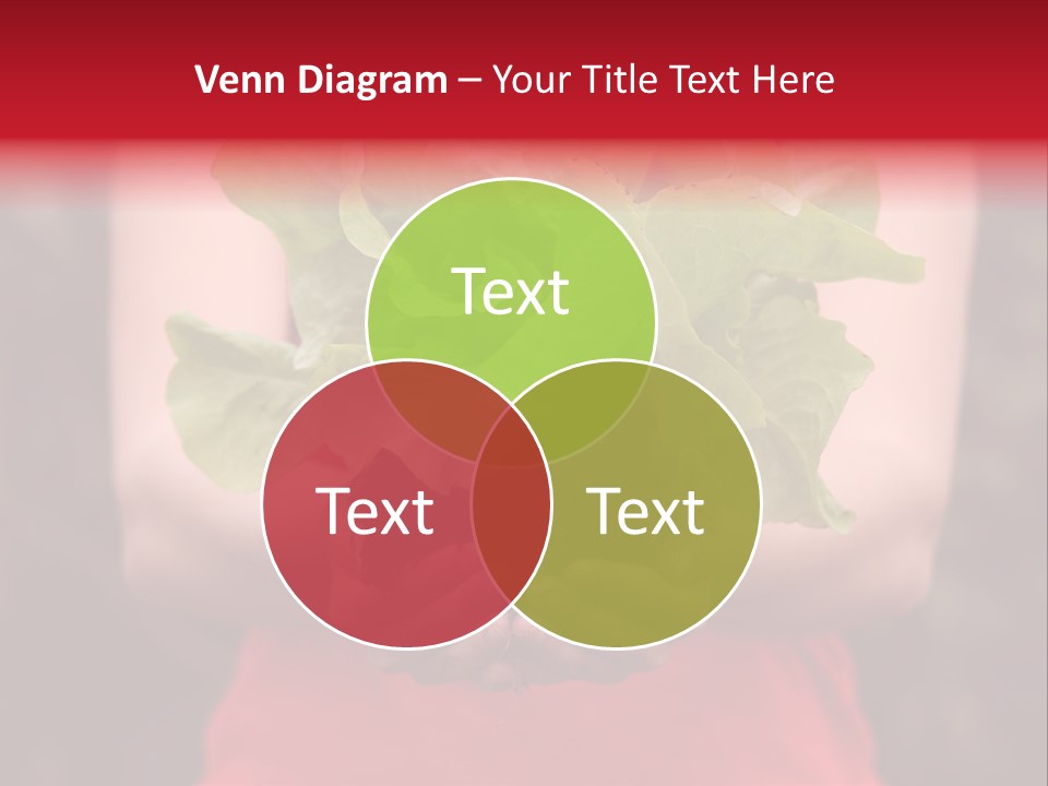 Food Holding Harvest PowerPoint Template