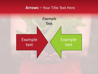 Food Holding Harvest PowerPoint Template