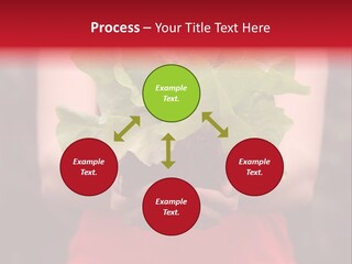 Food Holding Harvest PowerPoint Template