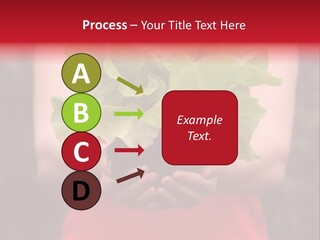 Food Holding Harvest PowerPoint Template