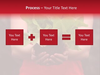 Food Holding Harvest PowerPoint Template