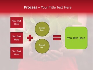 Food Holding Harvest PowerPoint Template