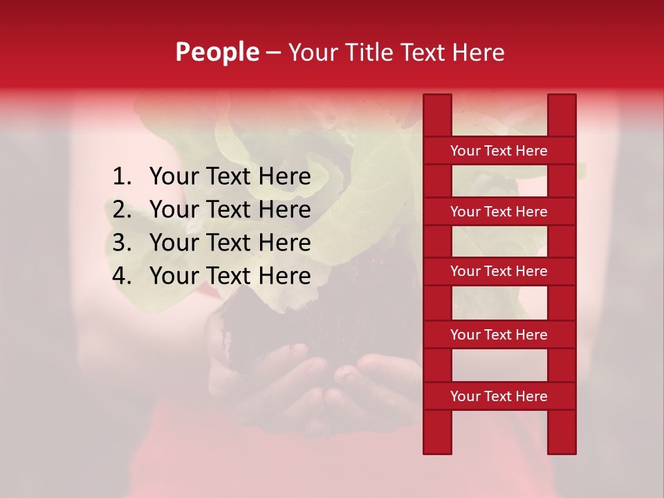 Food Holding Harvest PowerPoint Template