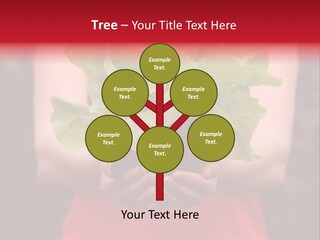 Food Holding Harvest PowerPoint Template