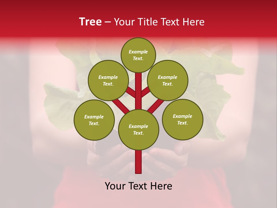 Food Holding Harvest PowerPoint Template