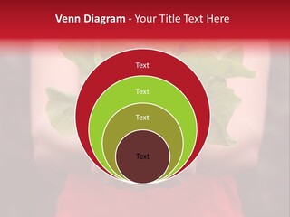 Food Holding Harvest PowerPoint Template
