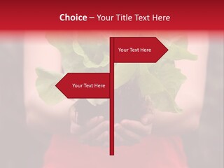 Food Holding Harvest PowerPoint Template