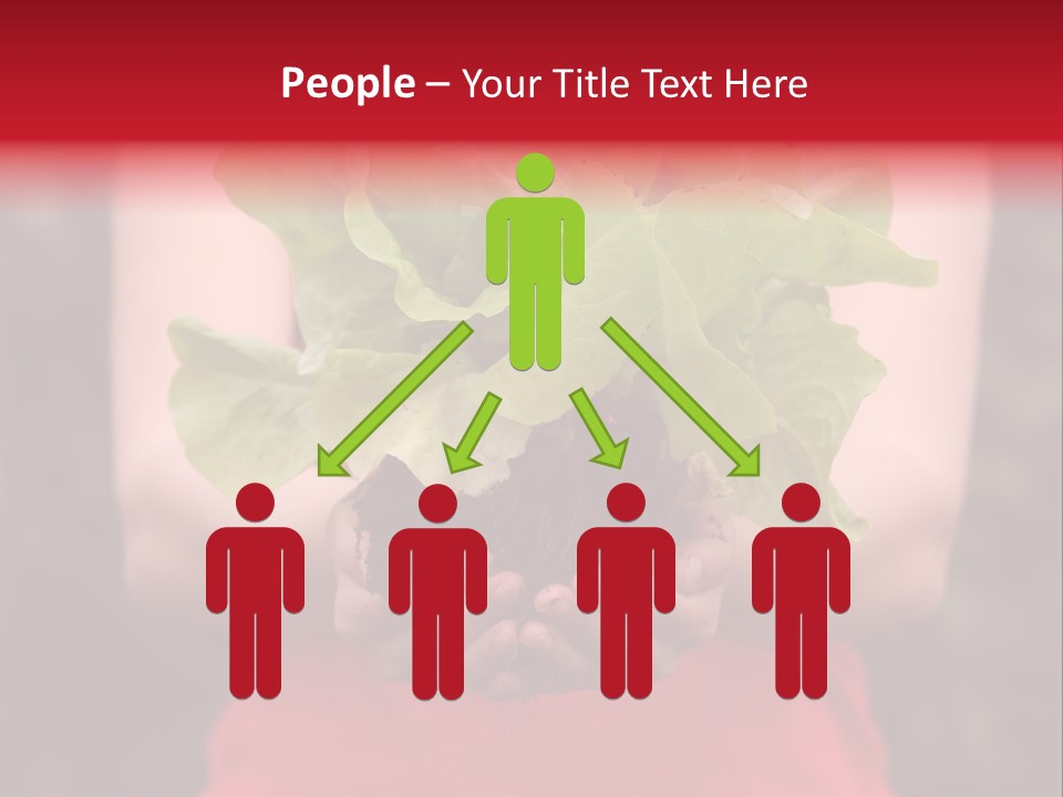 Food Holding Harvest PowerPoint Template