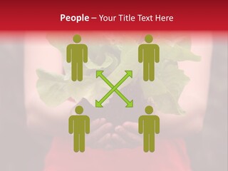 Food Holding Harvest PowerPoint Template