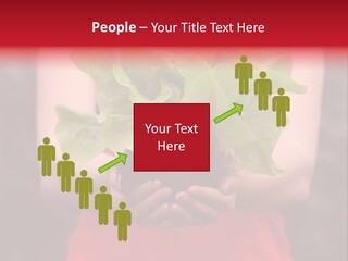 Food Holding Harvest PowerPoint Template