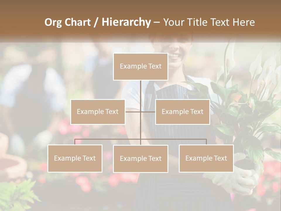 A Woman Holding A Potted Plant In A Greenhouse PowerPoint Template