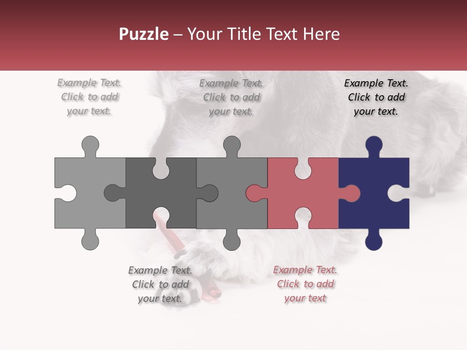 A Gray And White Dog Playing With A Red Toothbrush PowerPoint Template