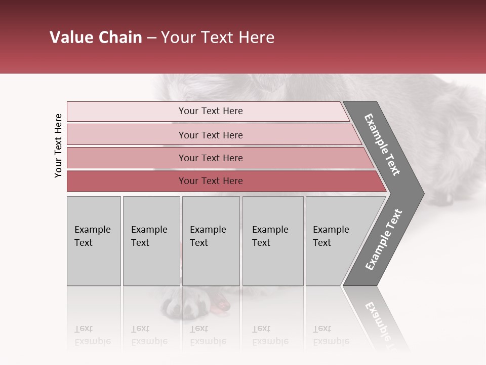 A Gray And White Dog Playing With A Red Toothbrush PowerPoint Template