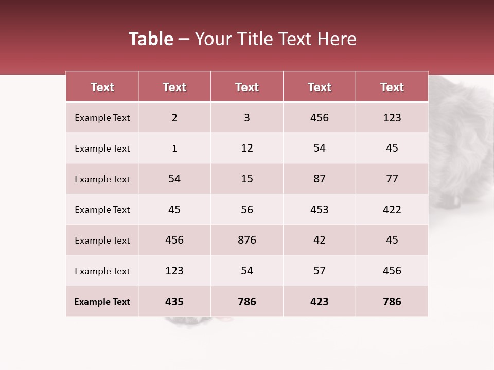 A Gray And White Dog Playing With A Red Toothbrush PowerPoint Template