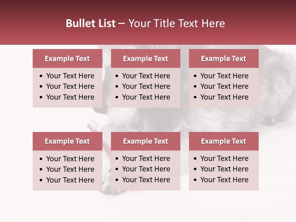 A Gray And White Dog Playing With A Red Toothbrush PowerPoint Template