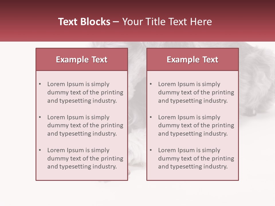 A Gray And White Dog Playing With A Red Toothbrush PowerPoint Template