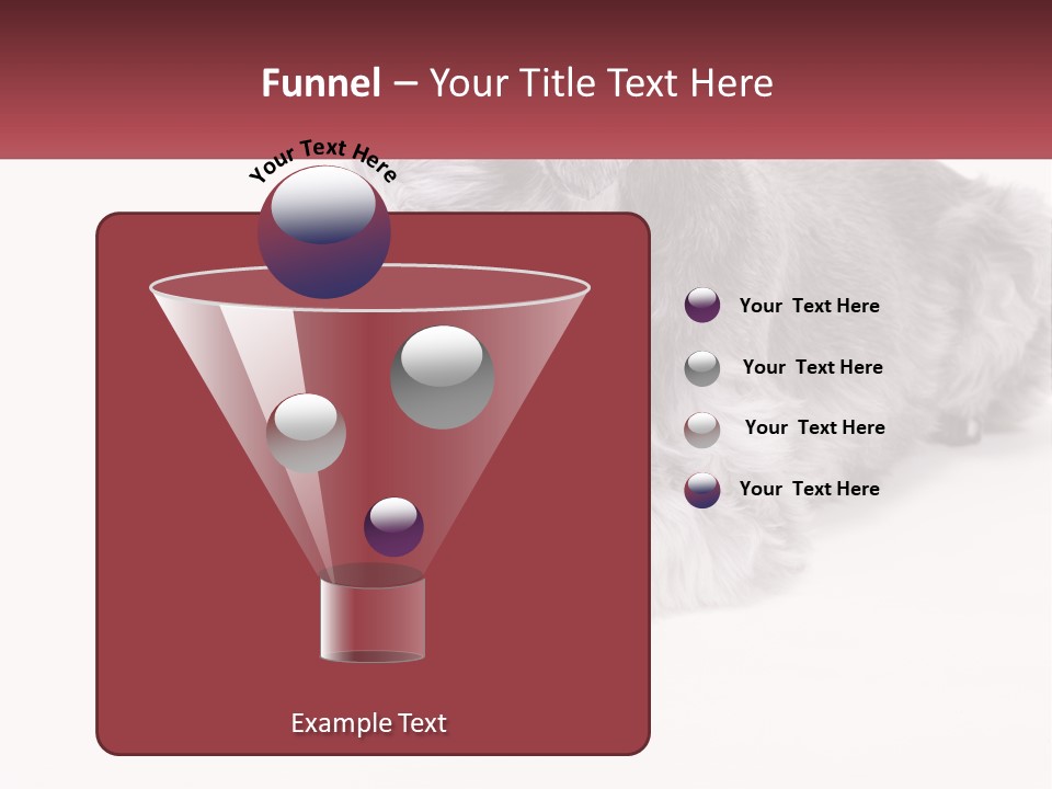 A Gray And White Dog Playing With A Red Toothbrush PowerPoint Template