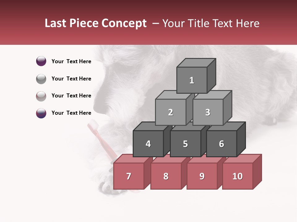 A Gray And White Dog Playing With A Red Toothbrush PowerPoint Template