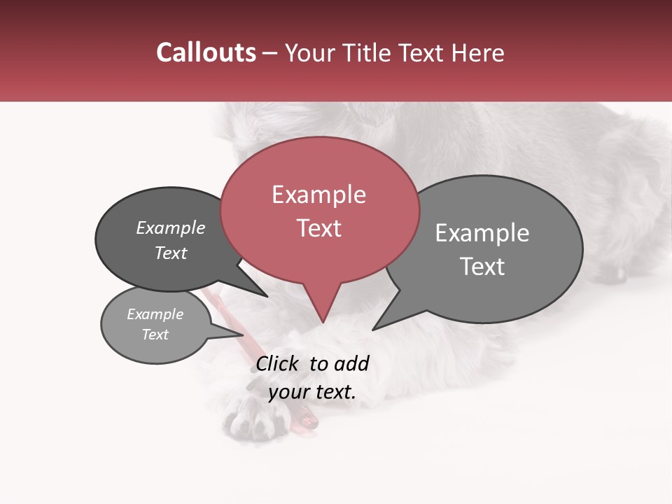 A Gray And White Dog Playing With A Red Toothbrush PowerPoint Template