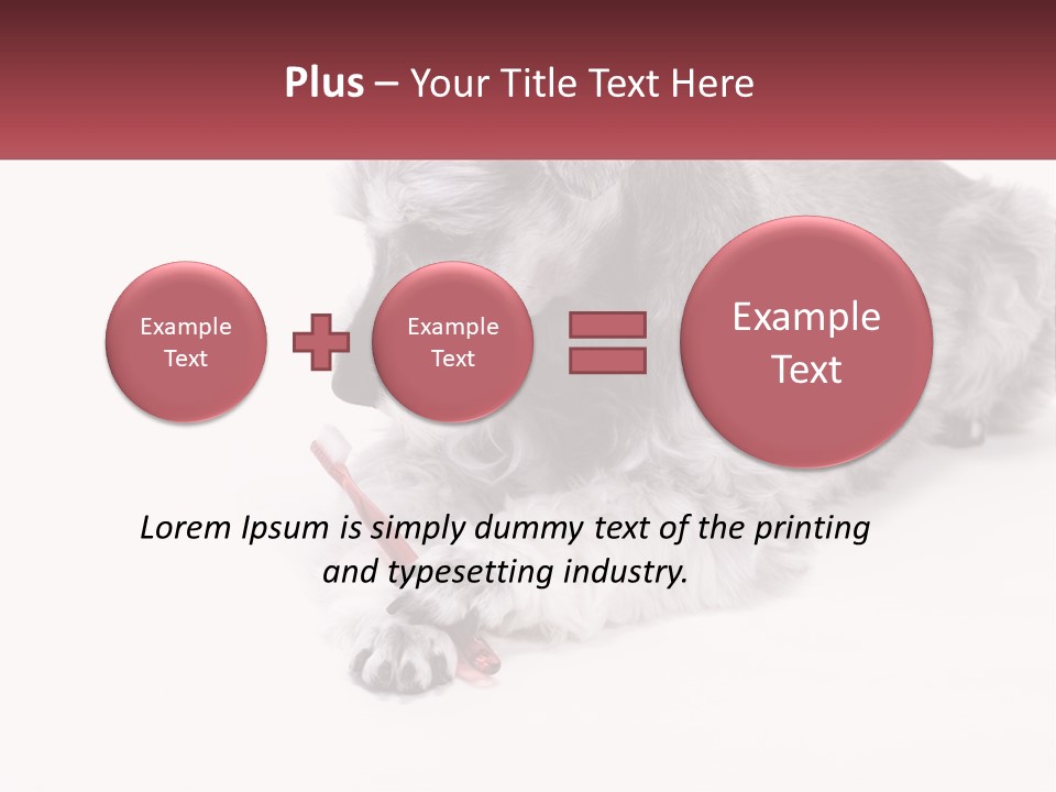 A Gray And White Dog Playing With A Red Toothbrush PowerPoint Template