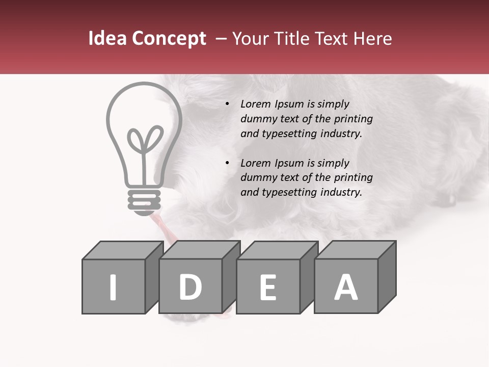 A Gray And White Dog Playing With A Red Toothbrush PowerPoint Template