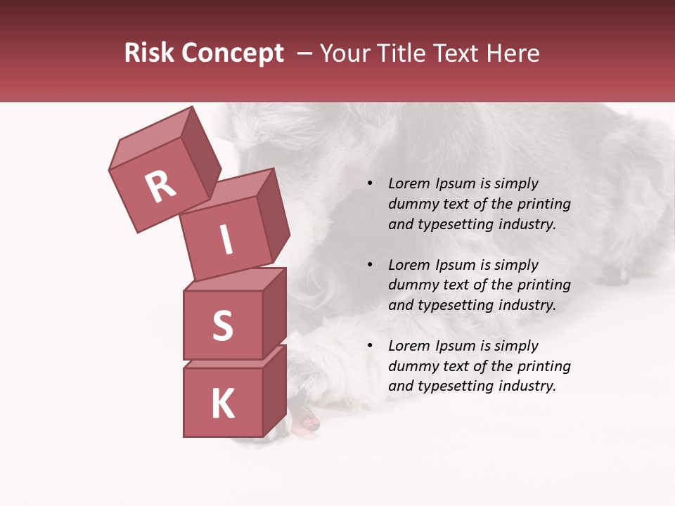 A Gray And White Dog Playing With A Red Toothbrush PowerPoint Template