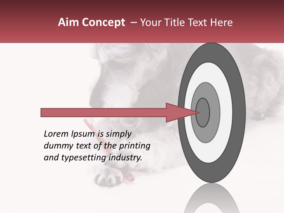 A Gray And White Dog Playing With A Red Toothbrush PowerPoint Template