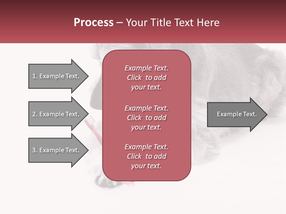 A Gray And White Dog Playing With A Red Toothbrush PowerPoint Template