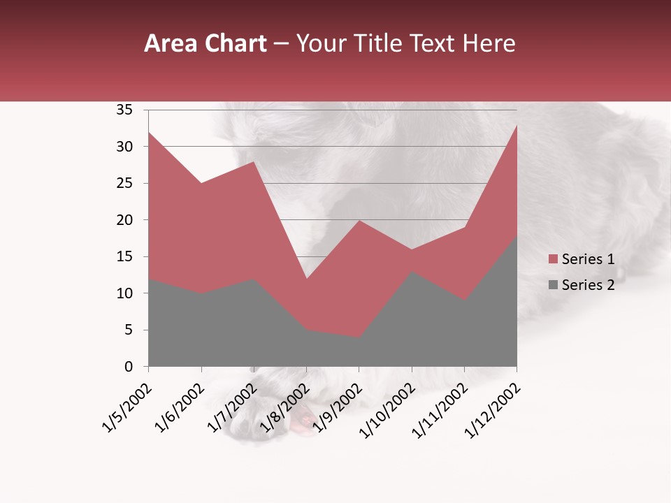 A Gray And White Dog Playing With A Red Toothbrush PowerPoint Template