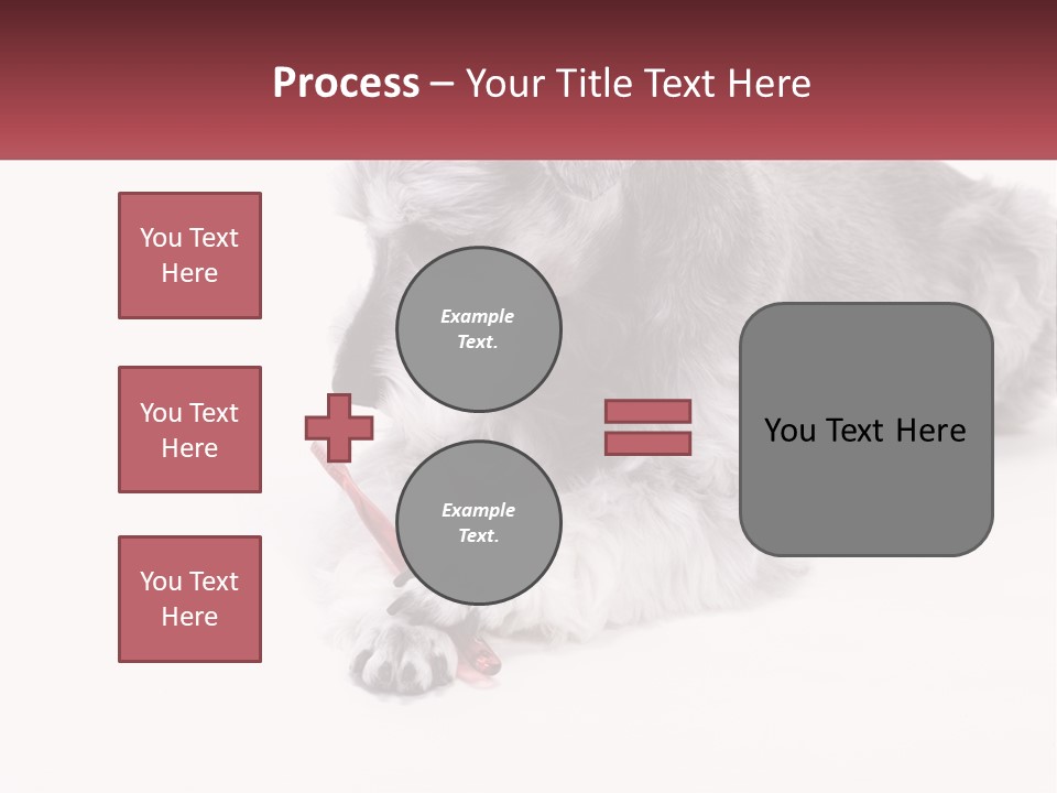 A Gray And White Dog Playing With A Red Toothbrush PowerPoint Template