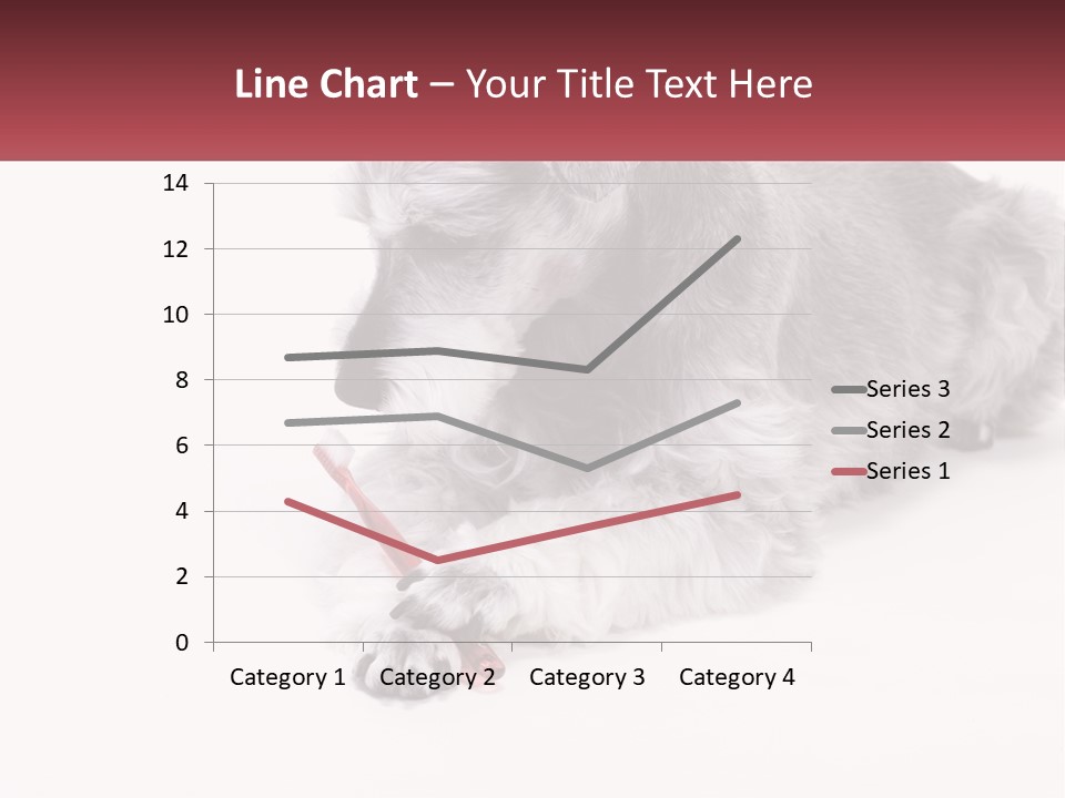 A Gray And White Dog Playing With A Red Toothbrush PowerPoint Template
