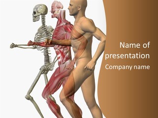 A Man And A Woman With Muscles Powerpoint Presentation PowerPoint Template