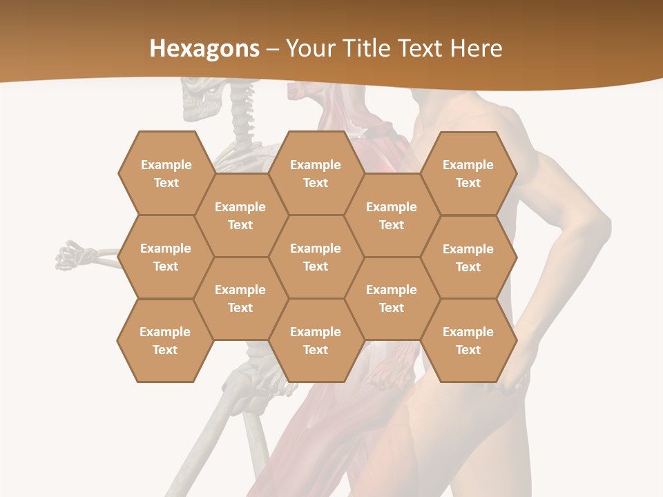 A Man And A Woman With Muscles Powerpoint Presentation PowerPoint Template