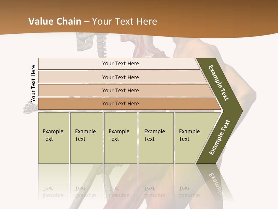A Man And A Woman With Muscles Powerpoint Presentation PowerPoint Template
