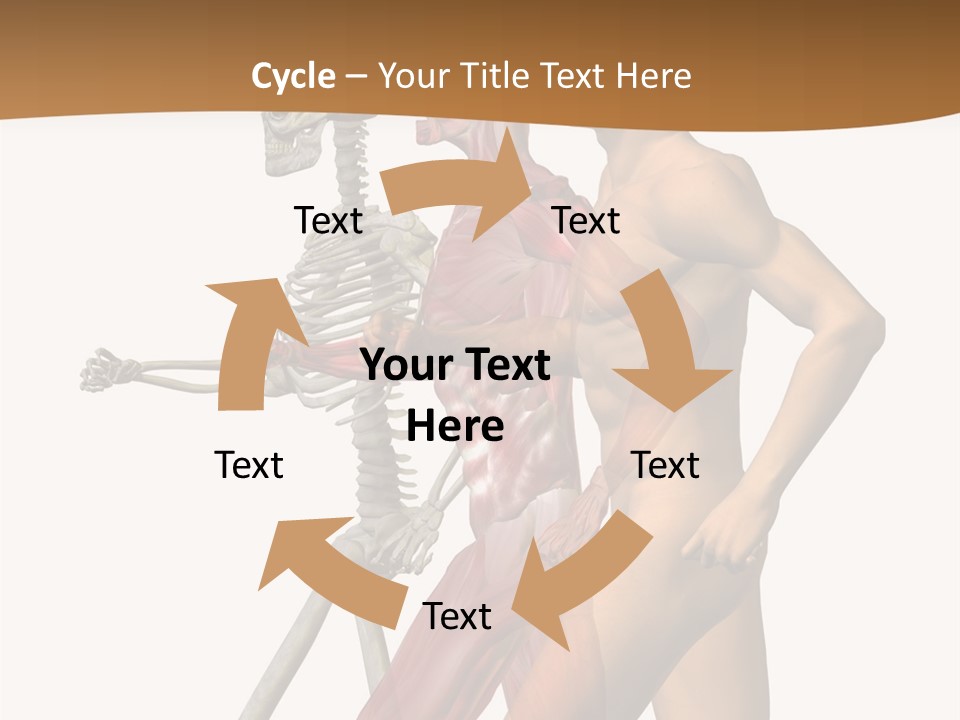 A Man And A Woman With Muscles Powerpoint Presentation PowerPoint Template