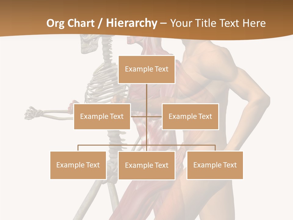 A Man And A Woman With Muscles Powerpoint Presentation PowerPoint Template