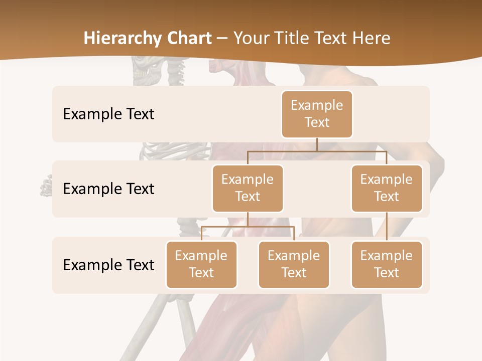 A Man And A Woman With Muscles Powerpoint Presentation PowerPoint Template