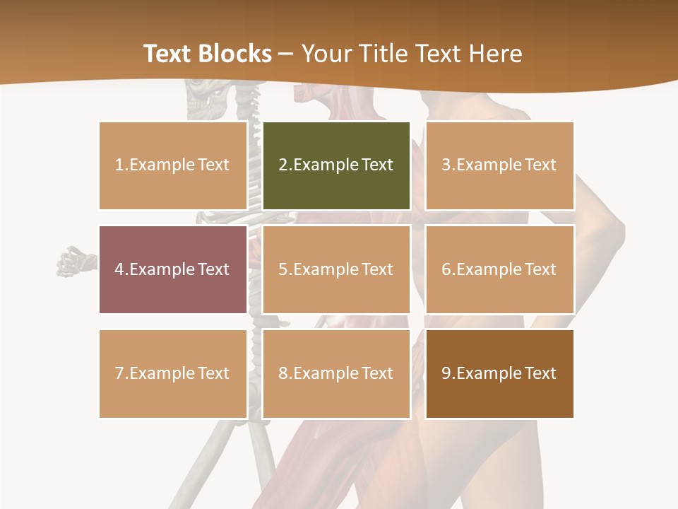 A Man And A Woman With Muscles Powerpoint Presentation PowerPoint Template