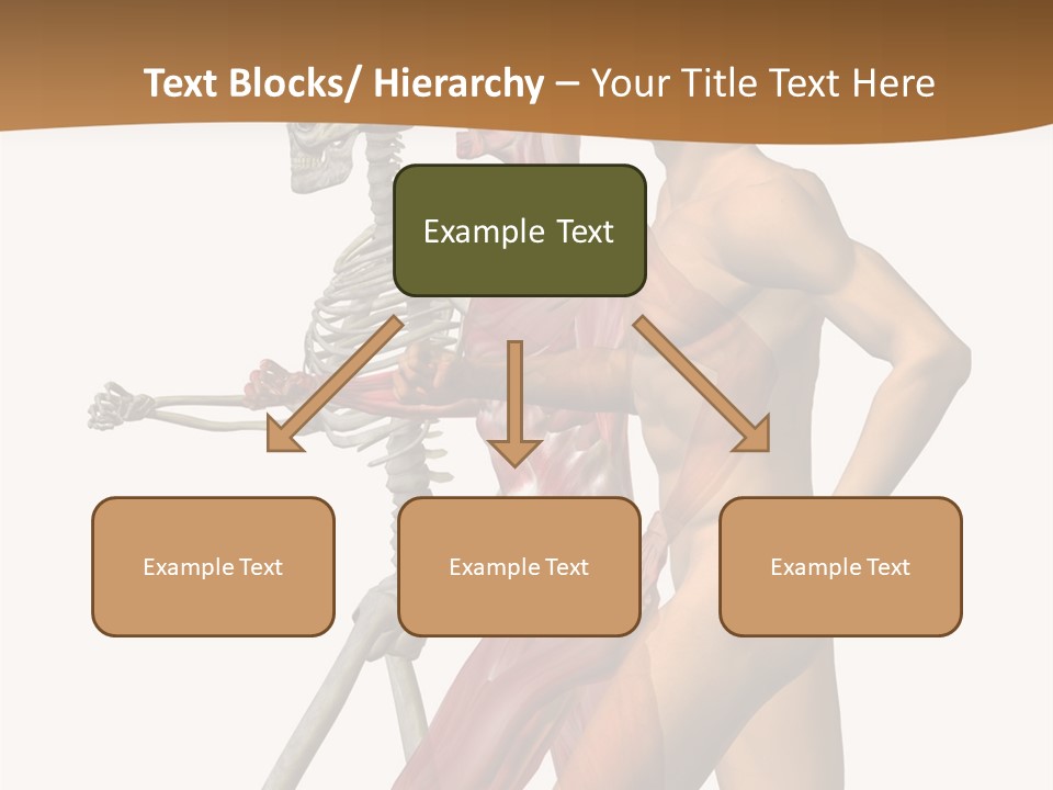 A Man And A Woman With Muscles Powerpoint Presentation PowerPoint Template