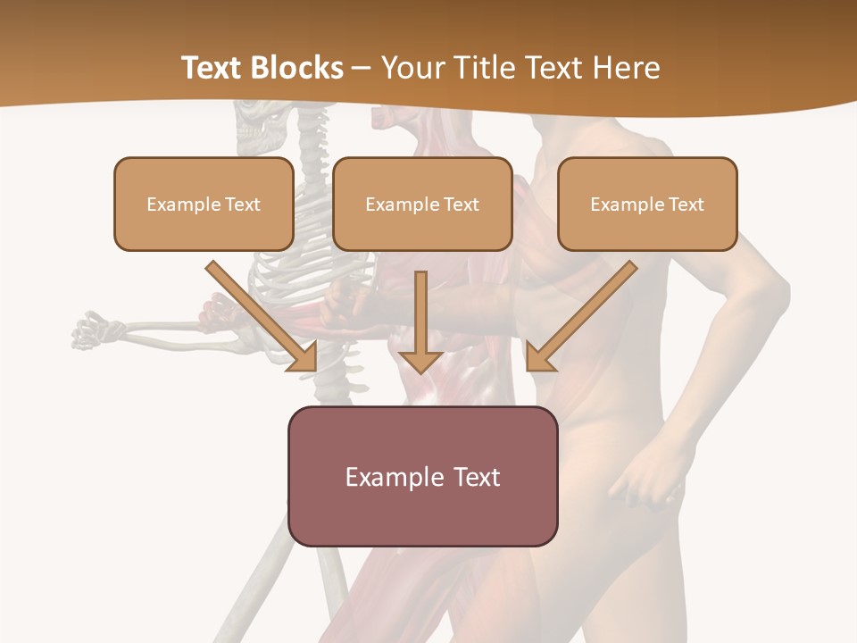 A Man And A Woman With Muscles Powerpoint Presentation PowerPoint Template