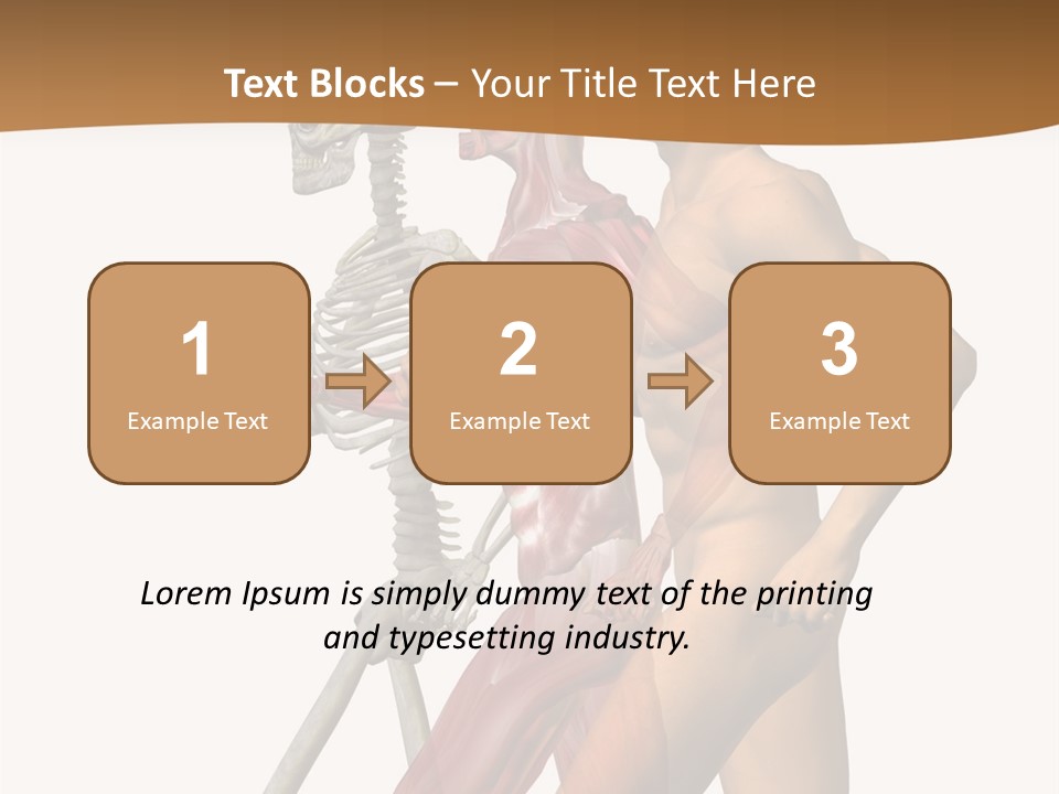 A Man And A Woman With Muscles Powerpoint Presentation PowerPoint Template