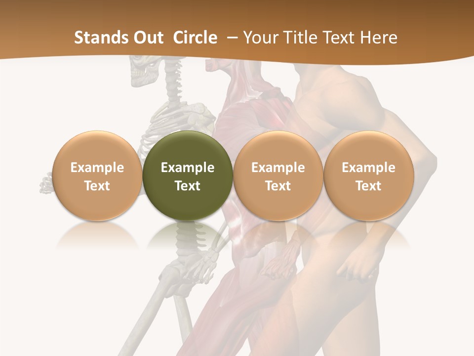 A Man And A Woman With Muscles Powerpoint Presentation PowerPoint Template