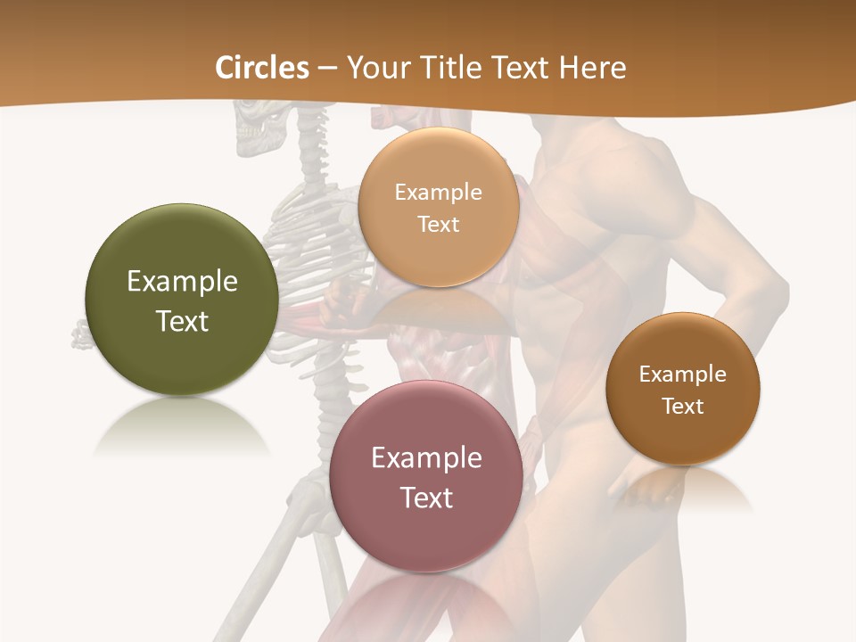 A Man And A Woman With Muscles Powerpoint Presentation PowerPoint Template