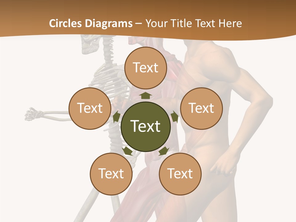 A Man And A Woman With Muscles Powerpoint Presentation PowerPoint Template